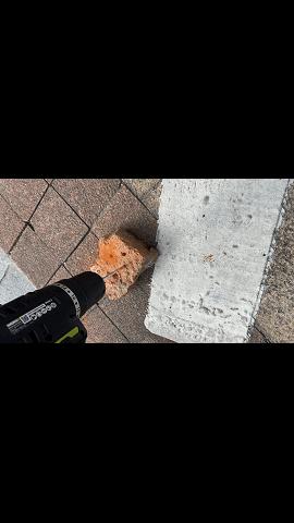 威克士w131.2评测,威克士新款wu130x开箱测评