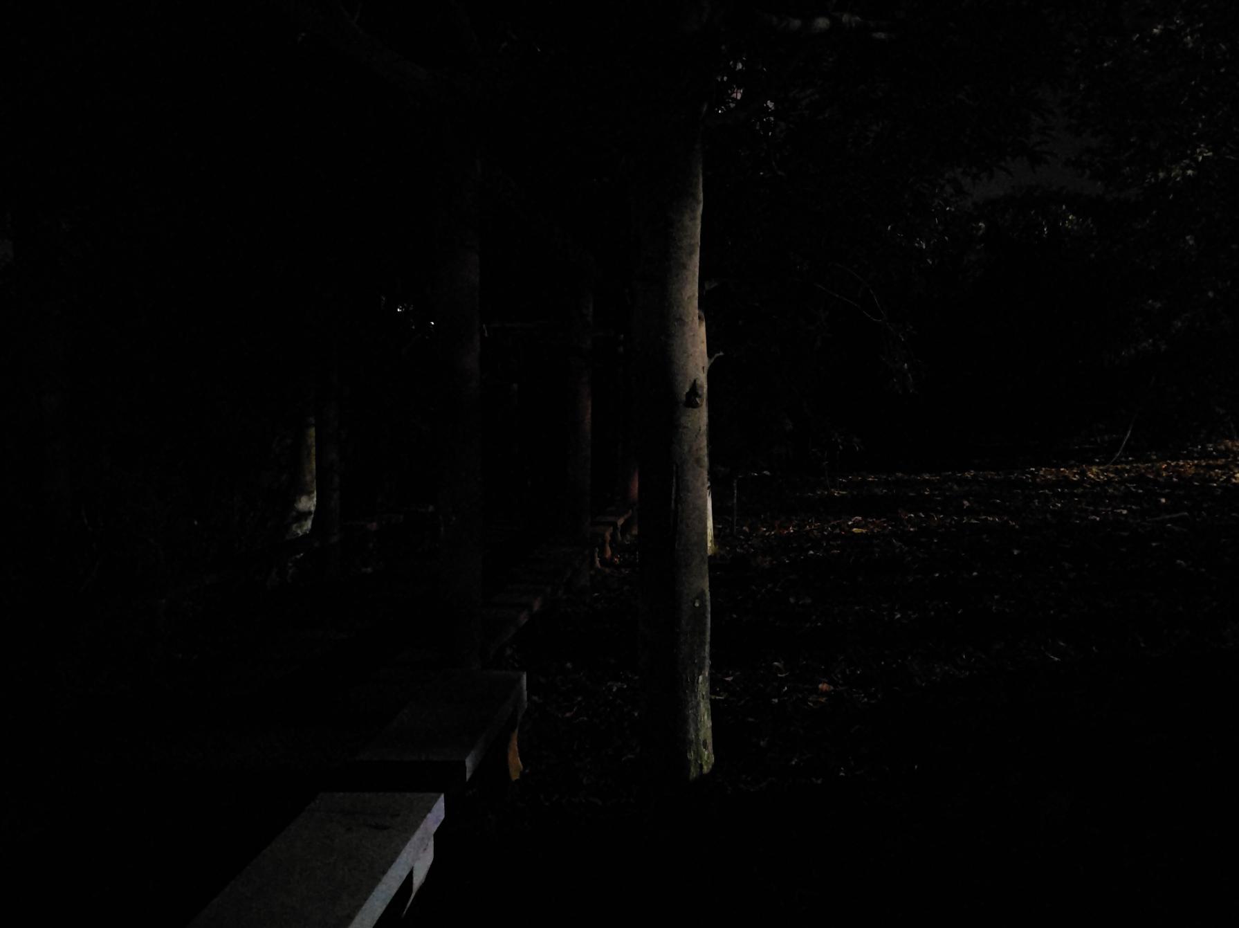 最纯粹的战术手电筒体验如何？傲雷WARRIOR武士X3首发上手