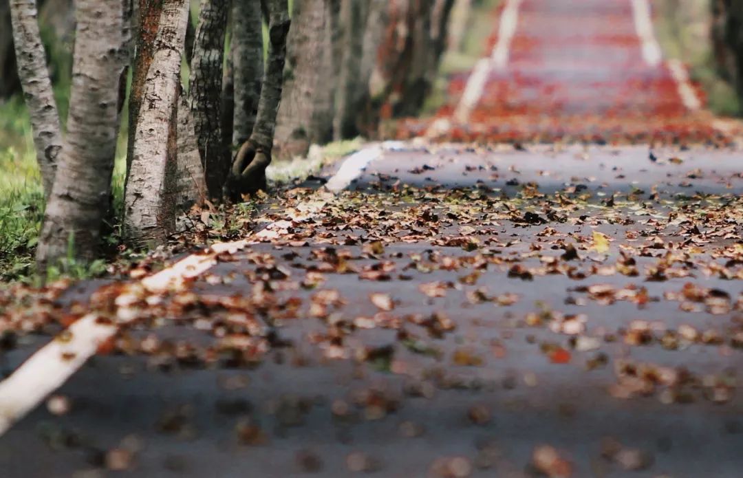 呼吸特别通畅,呼吸顺畅的运动
