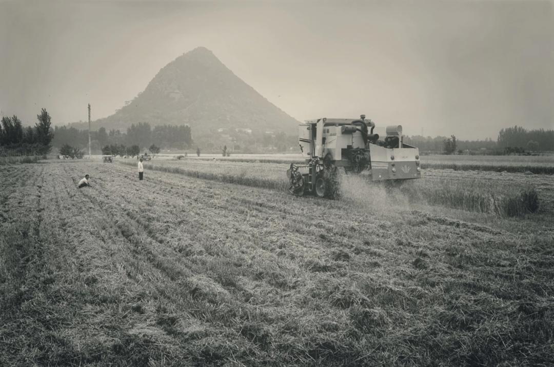 齐烟九点济南店,齐烟九点鹊华烟雨