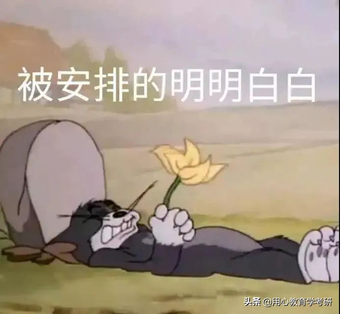 考研备考过程分心怎么办,考研教育学最好的方法