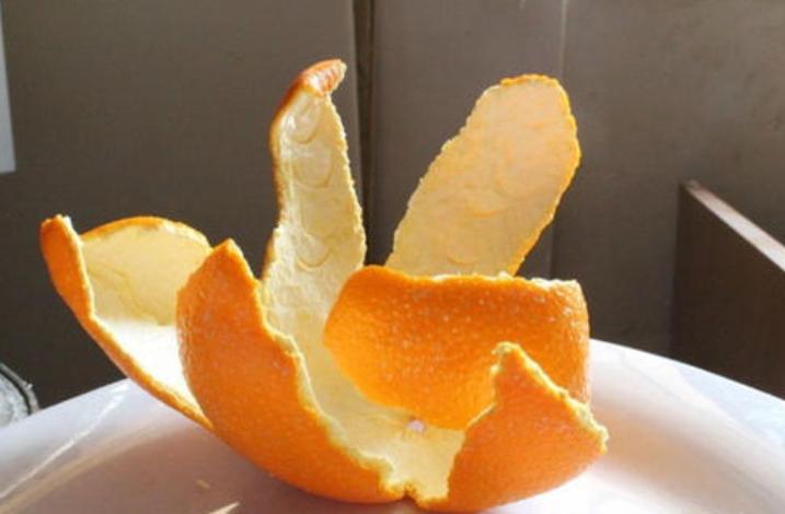 橘子皮可以作为种花肥料吗,橘子皮泡水可以当肥料养花