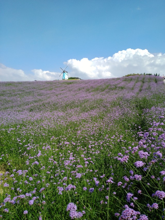 涨的多音字怎么记,100个多音字速记方法
