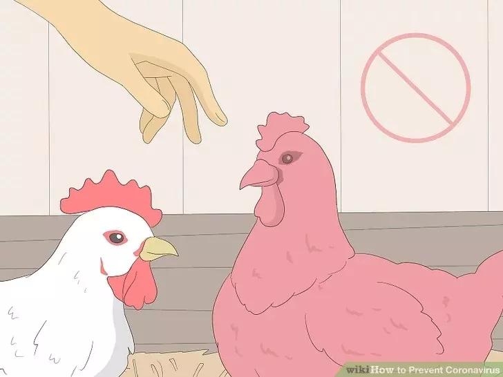 防控新型冠状病毒请您这样做,新型冠状病毒防控方案最新版