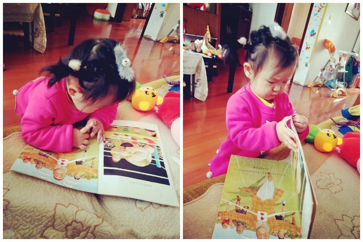 5-6岁儿童适合读什么绘本,5-6岁孩子读得最好的绘本