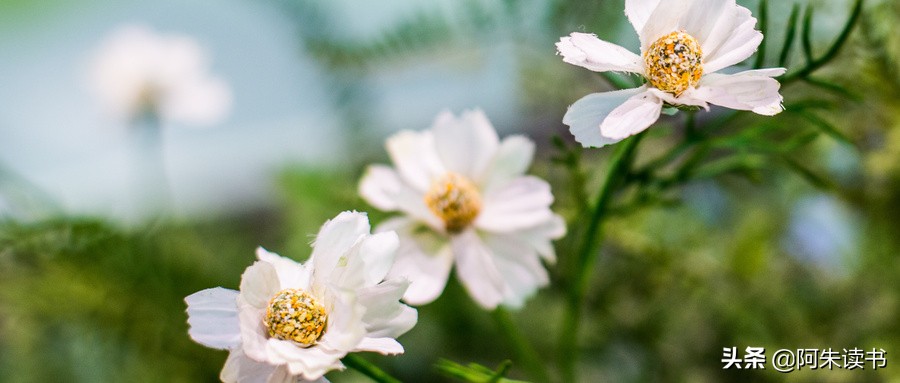 事事拖延,做事情总拖延用这三招解决拖延症