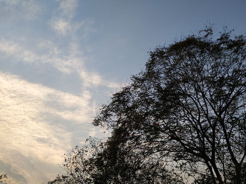 杭州四眼井怎么去,杭州四眼井村