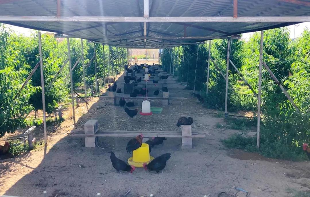 秋天银川旅游线路推荐,银川的秋天