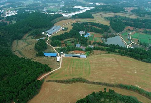 丘陵如何实现机械化,坡地如何用机械耕种
