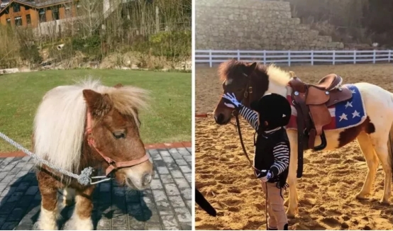 瀹佹尝瀹佹捣瀹夋緶,瀹佹捣瀹夋緶搴﹀亣閰掑簵鏀荤暐