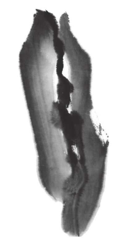 国画刘存惠荷花画法全视频,国画山水画教学视频荷花画法