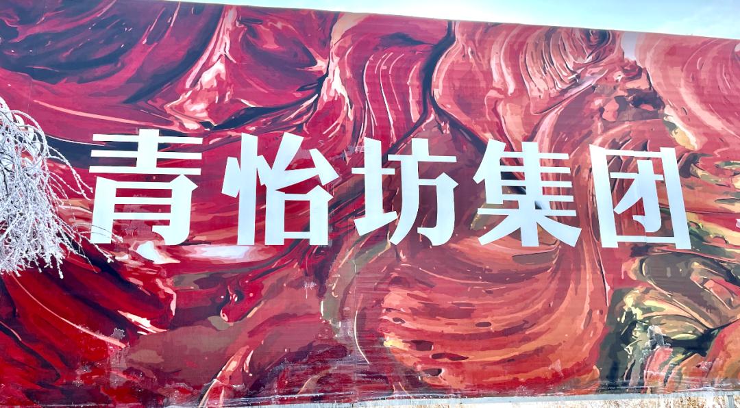 范家屯，越来越“高新南”了