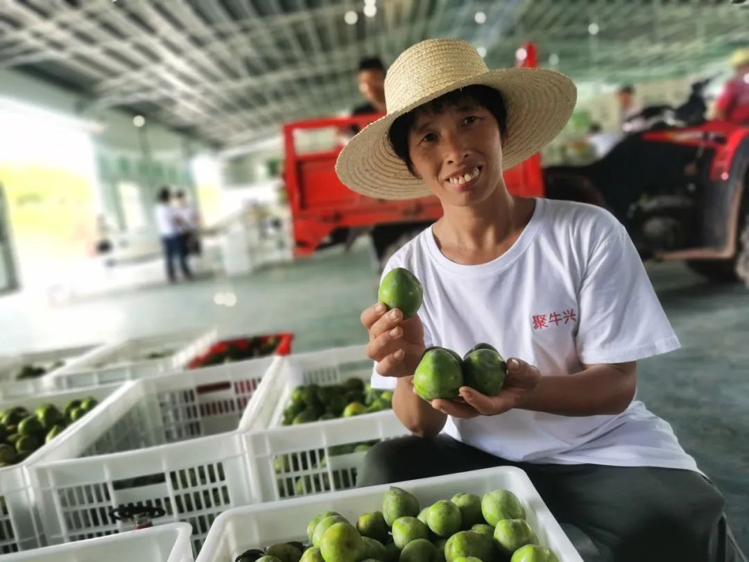 乌牛村来了6个年轻人，打造出一把致富“金钥匙”