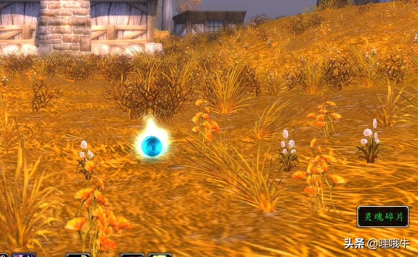 魔兽世界赛季服熔火之心攻略,魔兽世界战士天赋教程