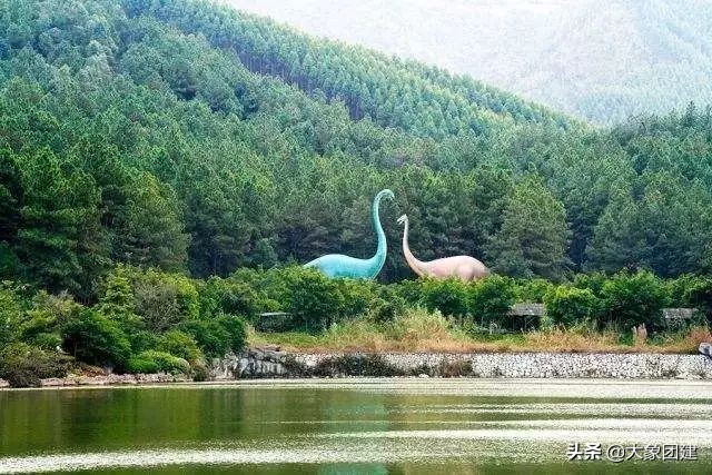 森波拉度假森林酒店,原始森林里的酒店