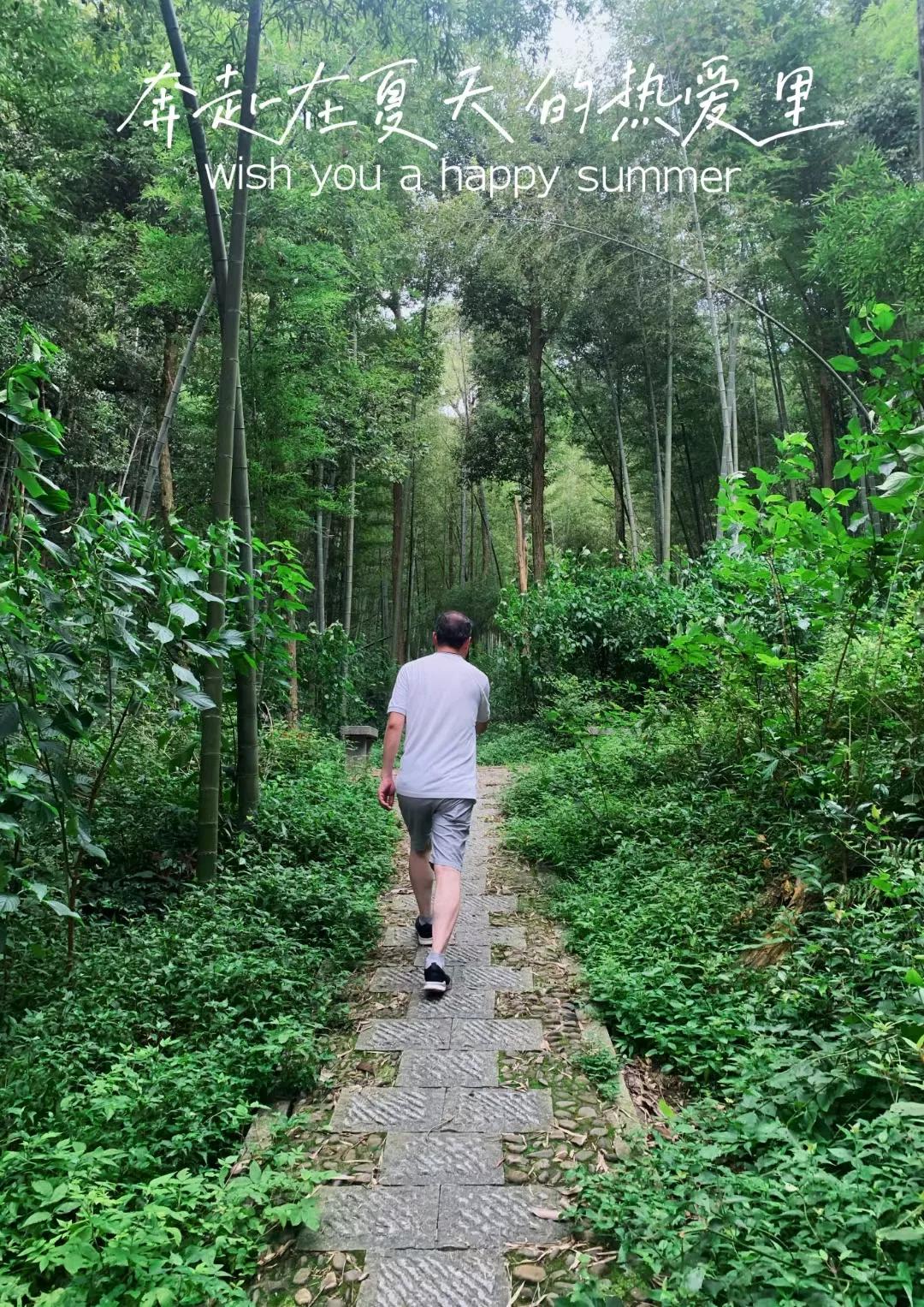 老祖宗宝贝大全,老祖宗留下的中医国粹