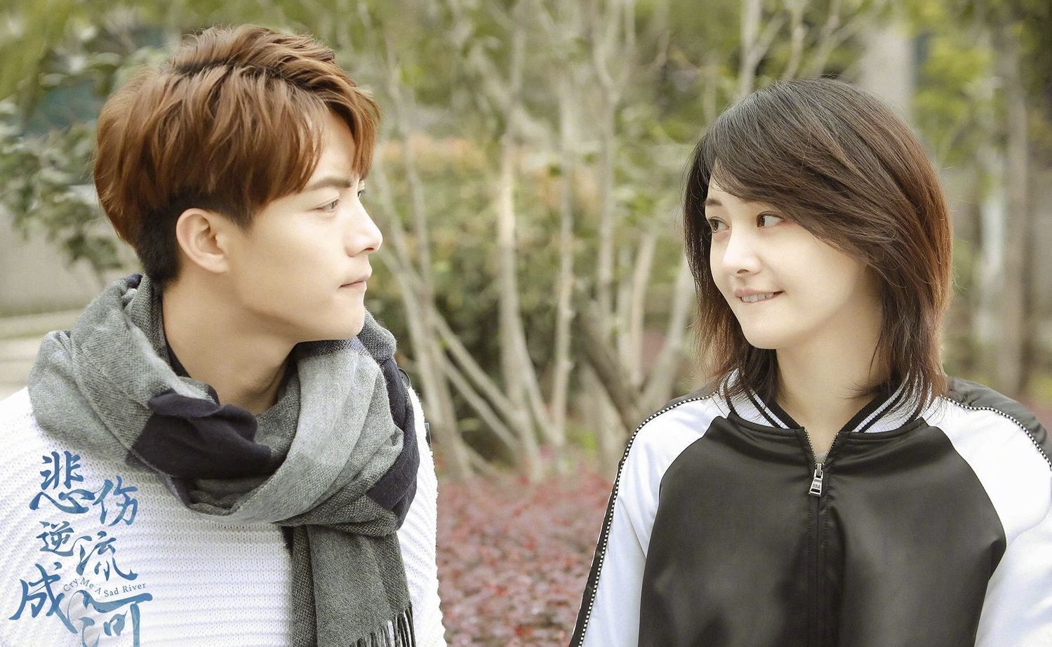 2020年9月的新剧有风暴舞吗,风暴舞2019新剧