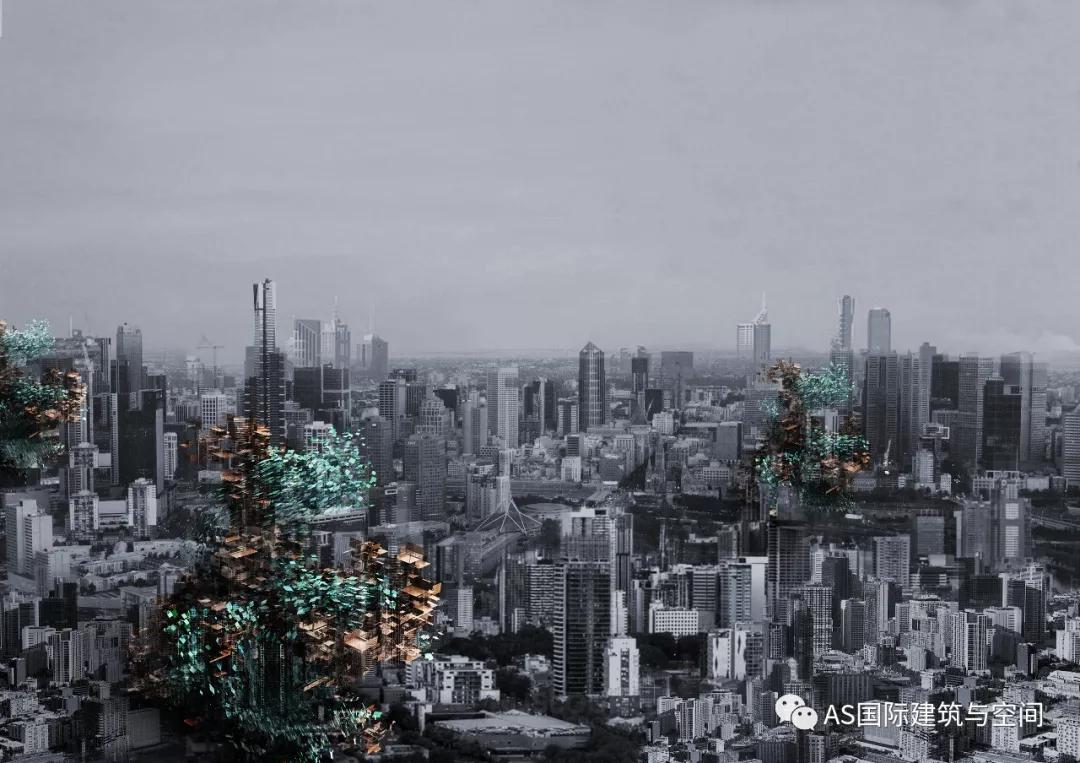 ASRI2020北京+武汉双城冬令营倒计时