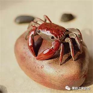 乌龟紫砂茶宠的摆放,紫砂茶宠摆放禁忌