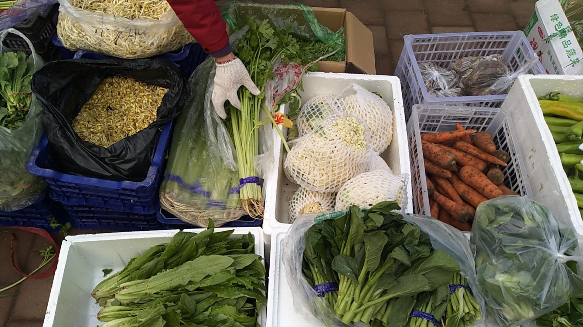 返京人员疫情防疫,抗击疫情医护人员陆续返乡