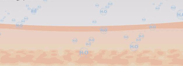 伊丽莎白雅顿身体乳绿茶500ml,伊丽莎白雅顿绿茶身体乳和润体霜