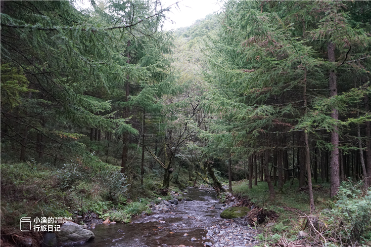 深藏在秦岭中的山水秘境,秦岭山中藏了一个世外桃源
