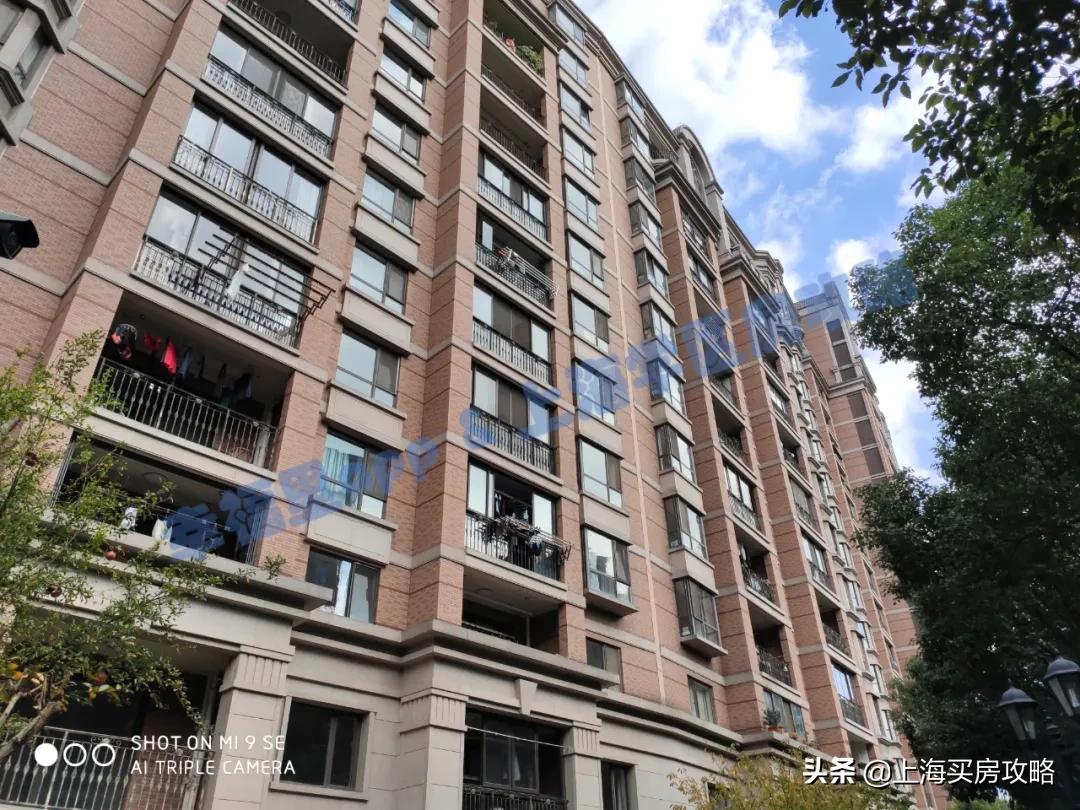 对口一梯队初中，热门程度越来越高，建平实验小学测评