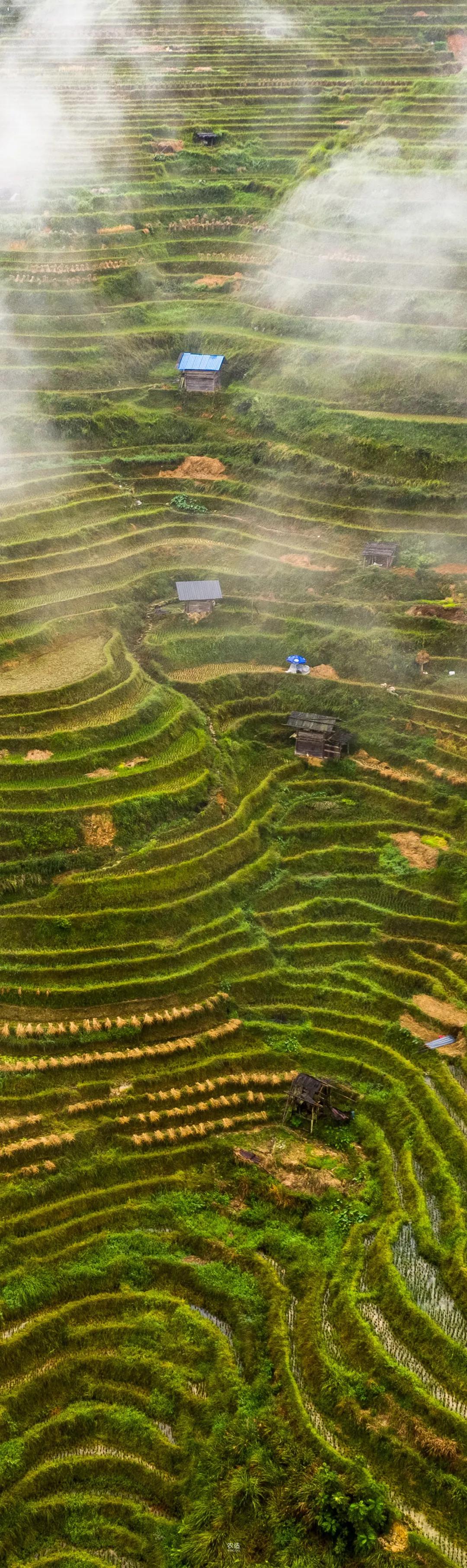 农造田野丨总有一根神经通往乡野|月亮山百里梯田