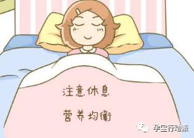 孕期周刊,孕期周刊25周