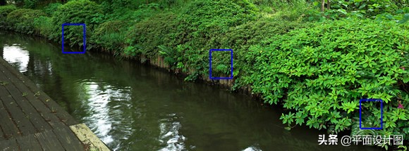 尼康和佳能全画幅怎么选,尼康18-135全画幅