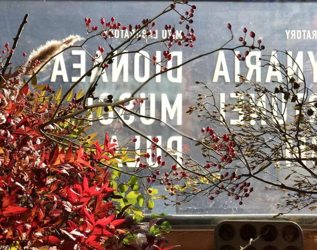 她辞去总监回家扶贫后续,她辞去总监回家扶贫结局