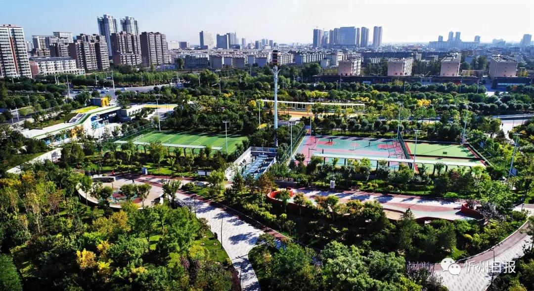 忻州今天新闻头条24小时,忻州今日新闻头条