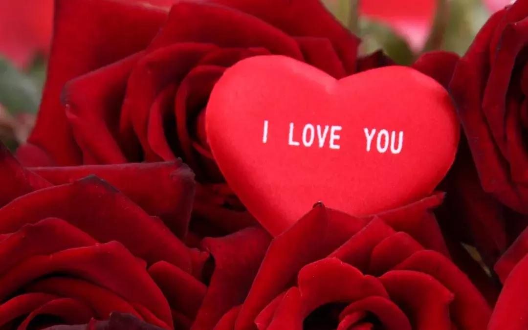 亲亲，约会前，先看看这条科普很有必要哦~