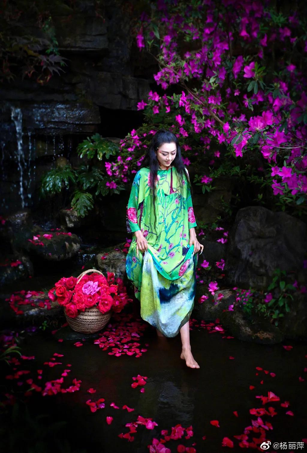 有一种向往叫西双版纳,有一种向往叫诗和远方完整版