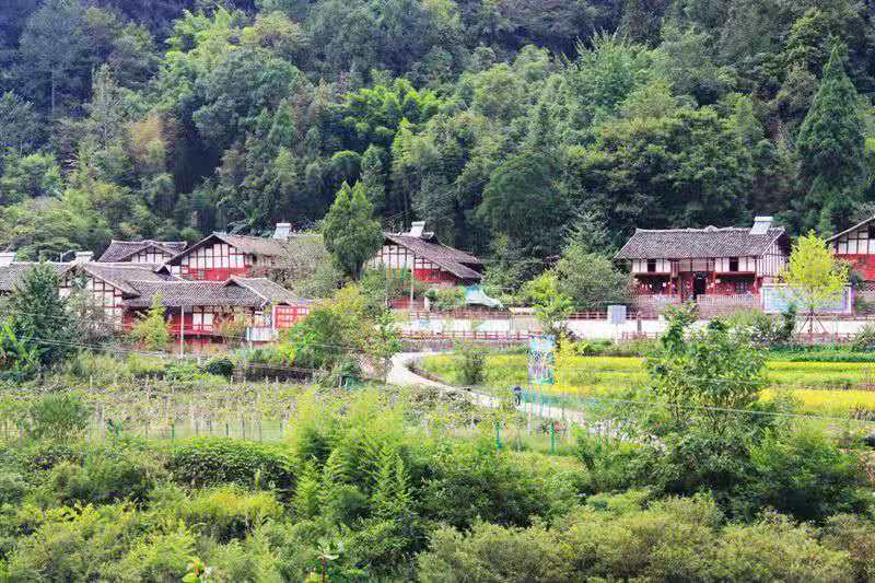 万源中学中考成绩,今年万源高考谁是第一名