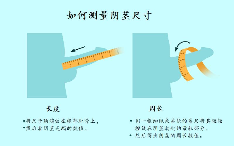 美杜莎药品讲解,美杜莎日用品