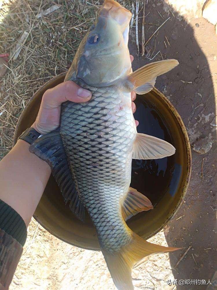 钓鱼的技巧之野钓视频,冬季钓鱼视频野钓看漂技巧