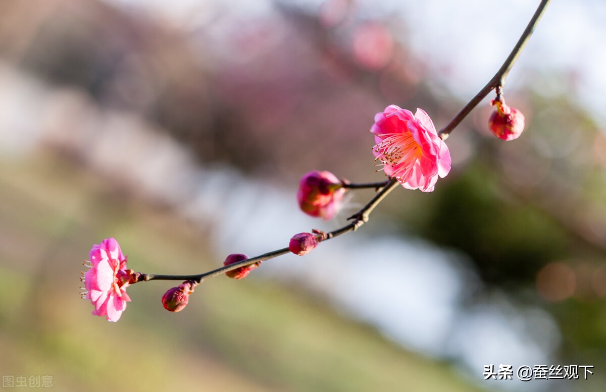 浙江温州祛斑,浙江温州鞋类批发市场在哪