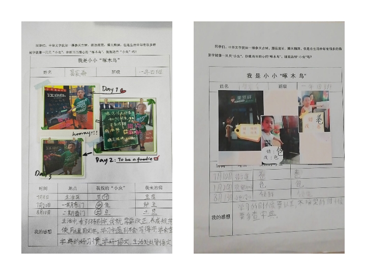 小学啄木鸟行动校外纠正错别字,啄木鸟找错别字实践活动