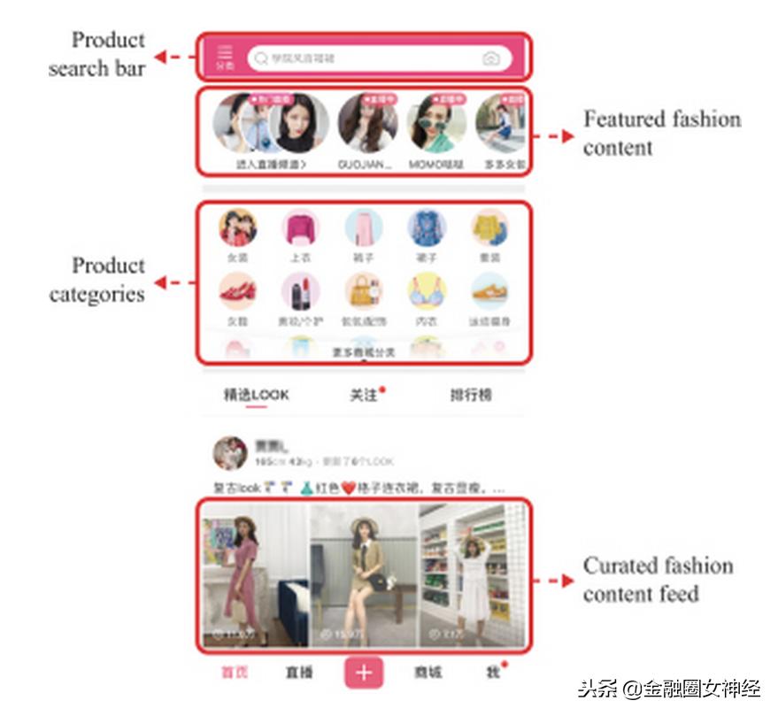 网红带货香菇,网红蘑菇街