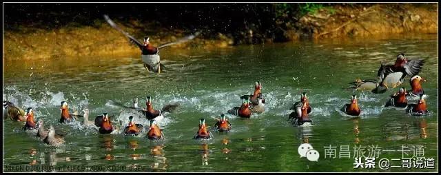 婺源篁岭油菜花摄影,婺源的秋天简直把摄影师逼疯