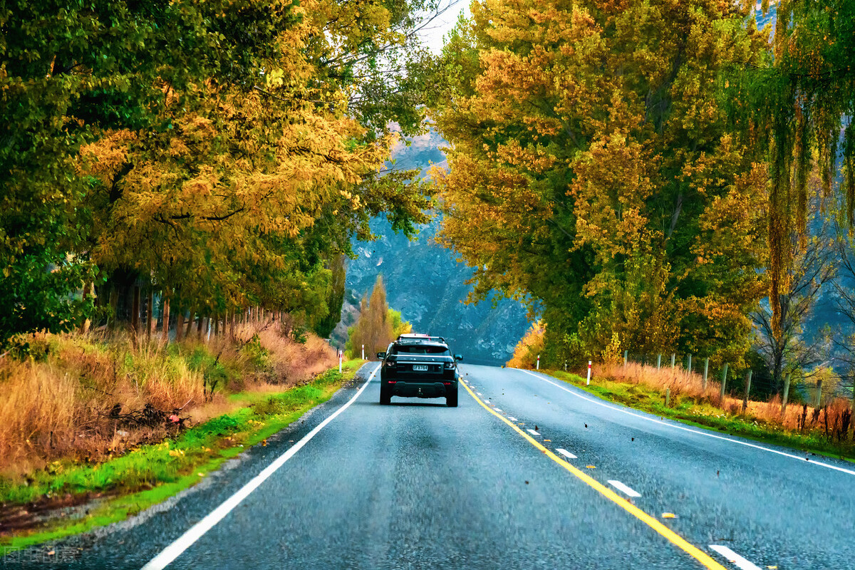 世界上宝藏最多的国家,世界亲华国家有哪些国