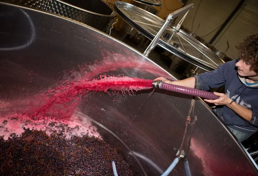 半甜型葡萄酒酿造过程,欧洲葡萄酒的酿造过程