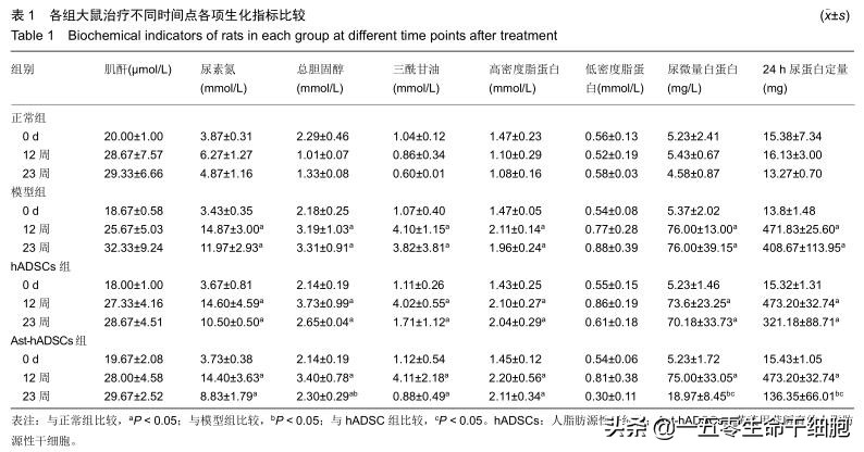 糖尿病肾病患者福音:干细胞疗法五大优势,打破传统干预肾病困局