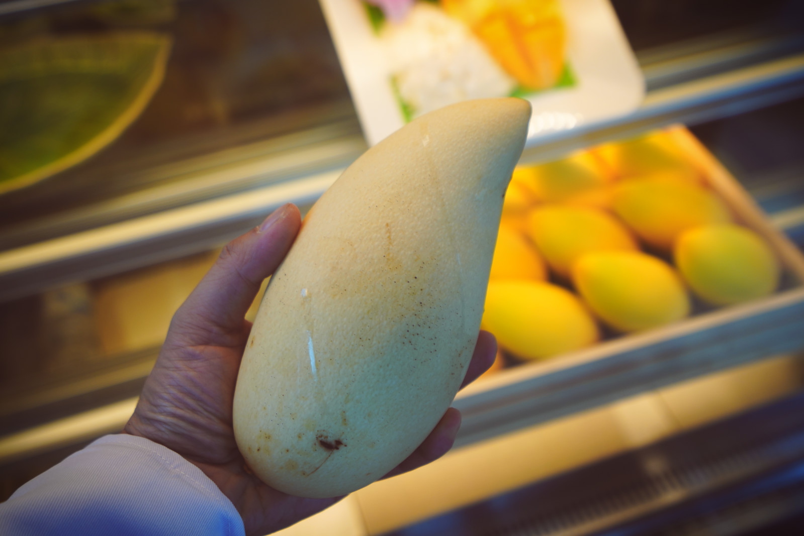 泰国暹罗主题公园,曼谷暹罗古城72府游览