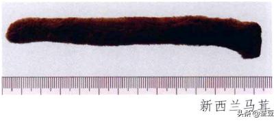 鹿茸造假事件,鹿茸造假手段有哪些