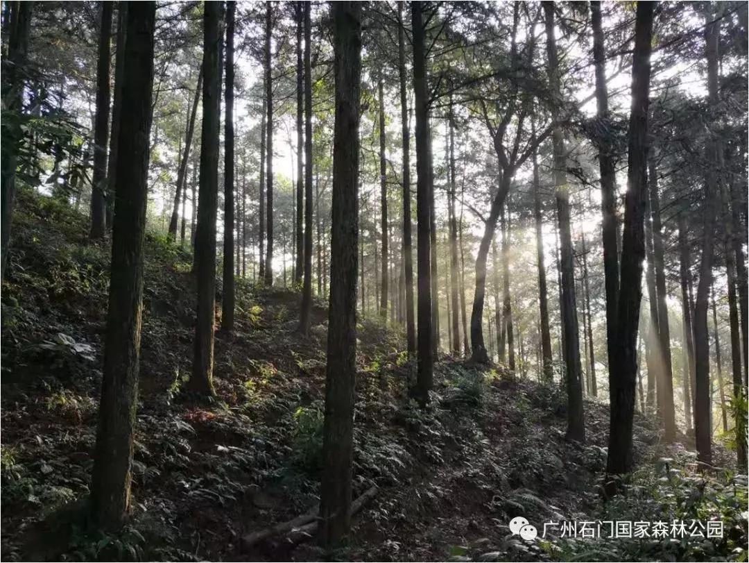 从化旅游攻略五天自由行,五一从化亲子游十大必去景点