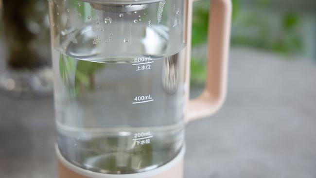 恒温迷你养生壶推荐,利仁便携养生壶