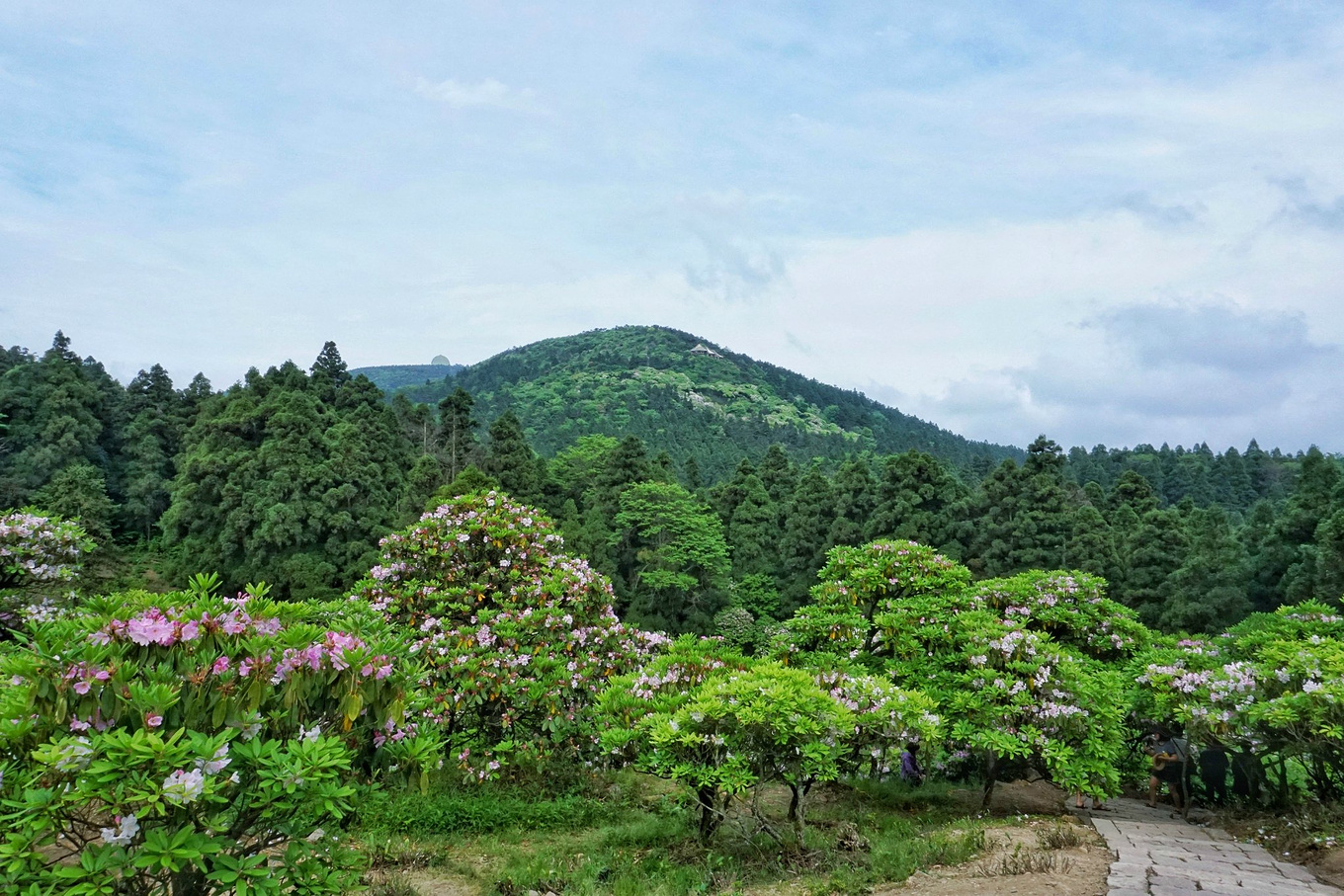 天台华顶山森林公园历史,李白来过天台吗