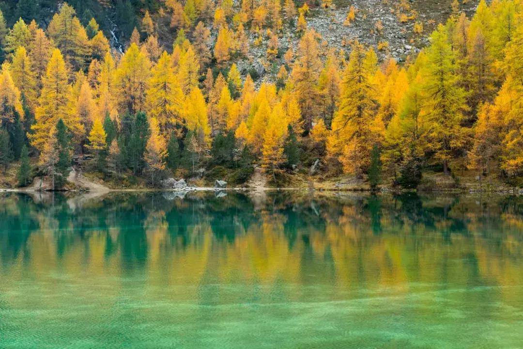 世界公园知名度,世界公园叫什么